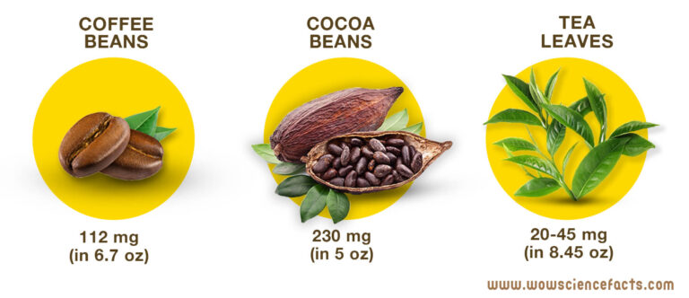 Caffeine content of coffee beans cocoa beans and tea leaves